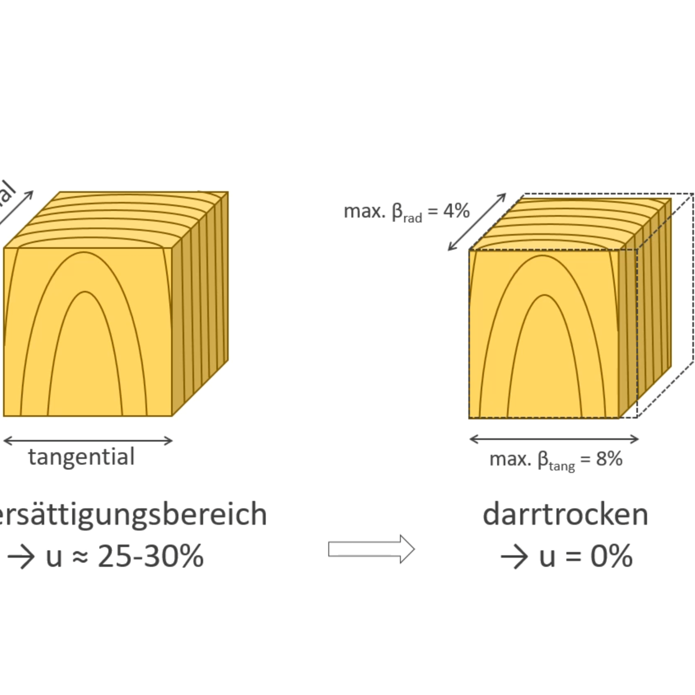 Öffnen Videoreihe zur Berechnung der Schwindmaße beim Holz